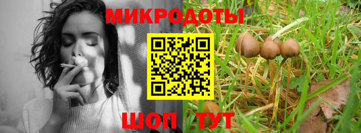 Галлюциногенные грибы прущие грибы  где купить наркотик  Борзя  Псилоцибиновые грибы прущие грибы  Вход с VPN 